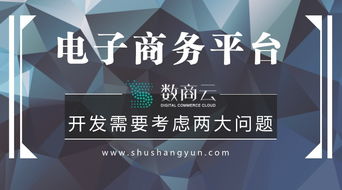 電子商務平臺開發需要考慮兩大問題