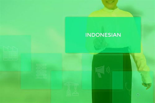 全球電商發(fā)展高歌猛進(jìn) 印度尼西亞電商用戶去年增長(zhǎng)了66